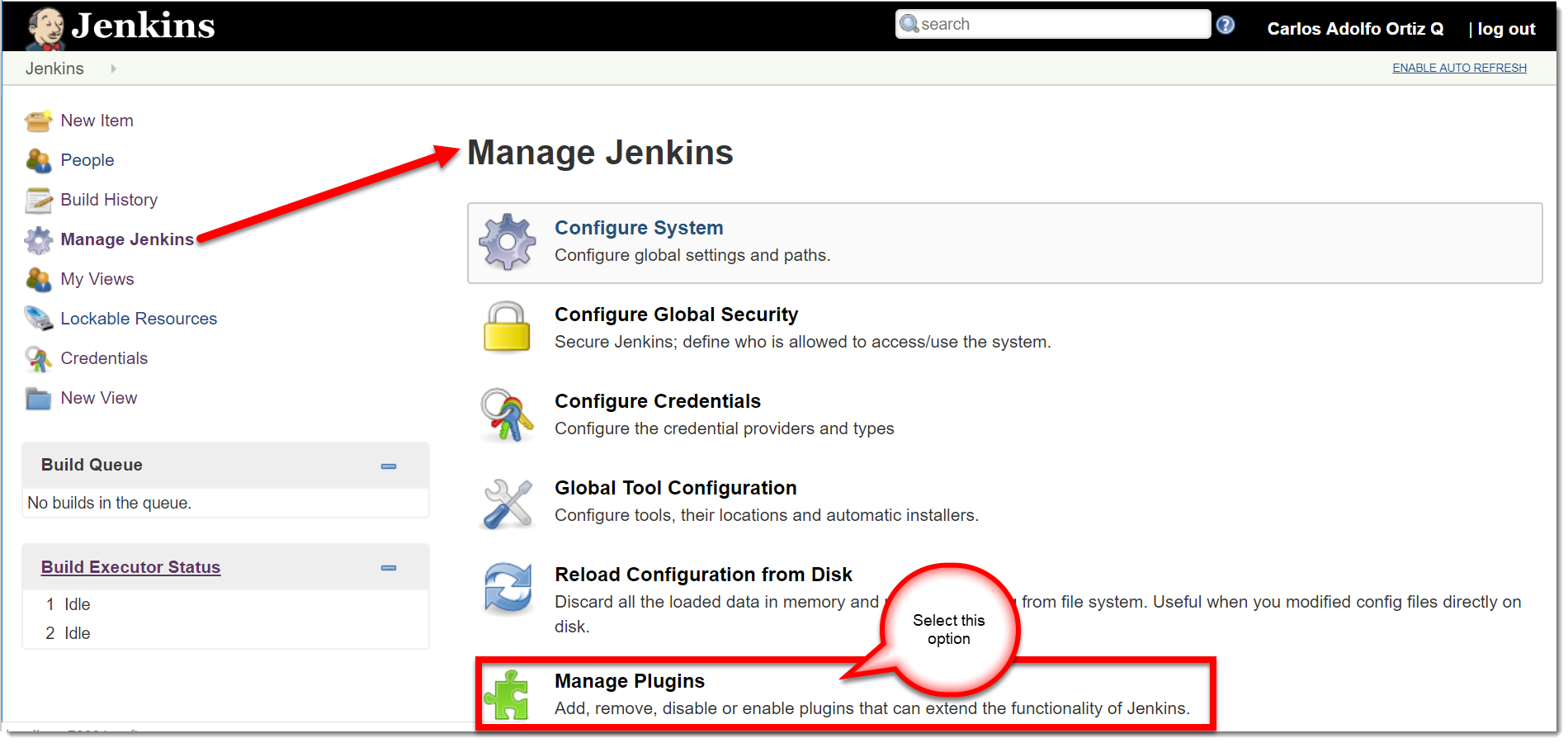 Jenkins Manage Plugins