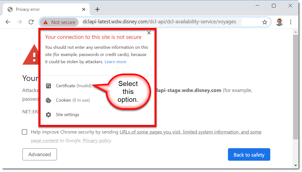 Google Chrome Grab SSL Certificate Init