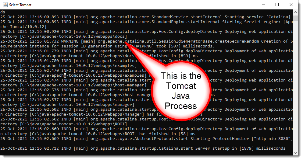 Tomcat Java Process