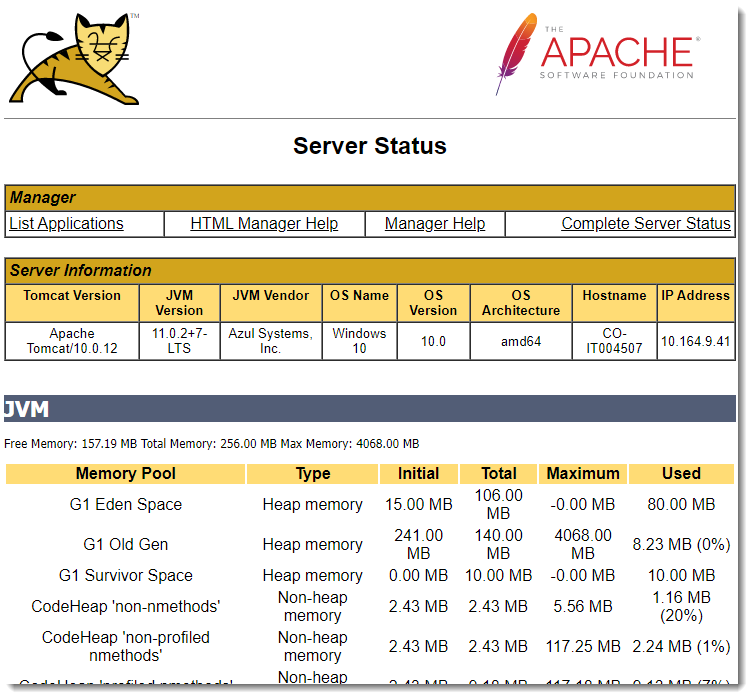 Tomcat Server Status